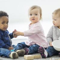 A multi-ethnic group of babies are playing with toys together at daycare. 